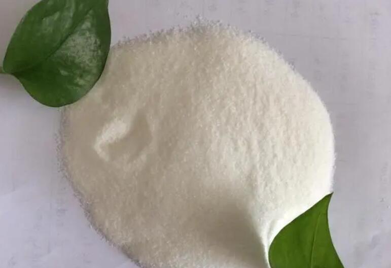 如果不慎误食了聚丙烯酰胺,应该采取哪些紧急措施