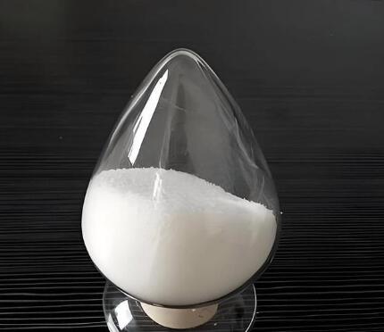 �߶˻�ת�����٣�2026��۱�ϩ������ҵӭ��չ�»����������������ƽ���¢��