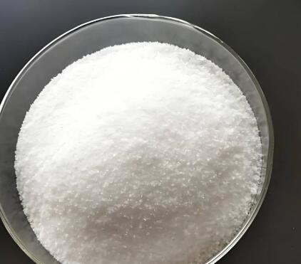 ���ʽ�̼・������� ����2025 ��۱�ϩ������PAM����ҵ������